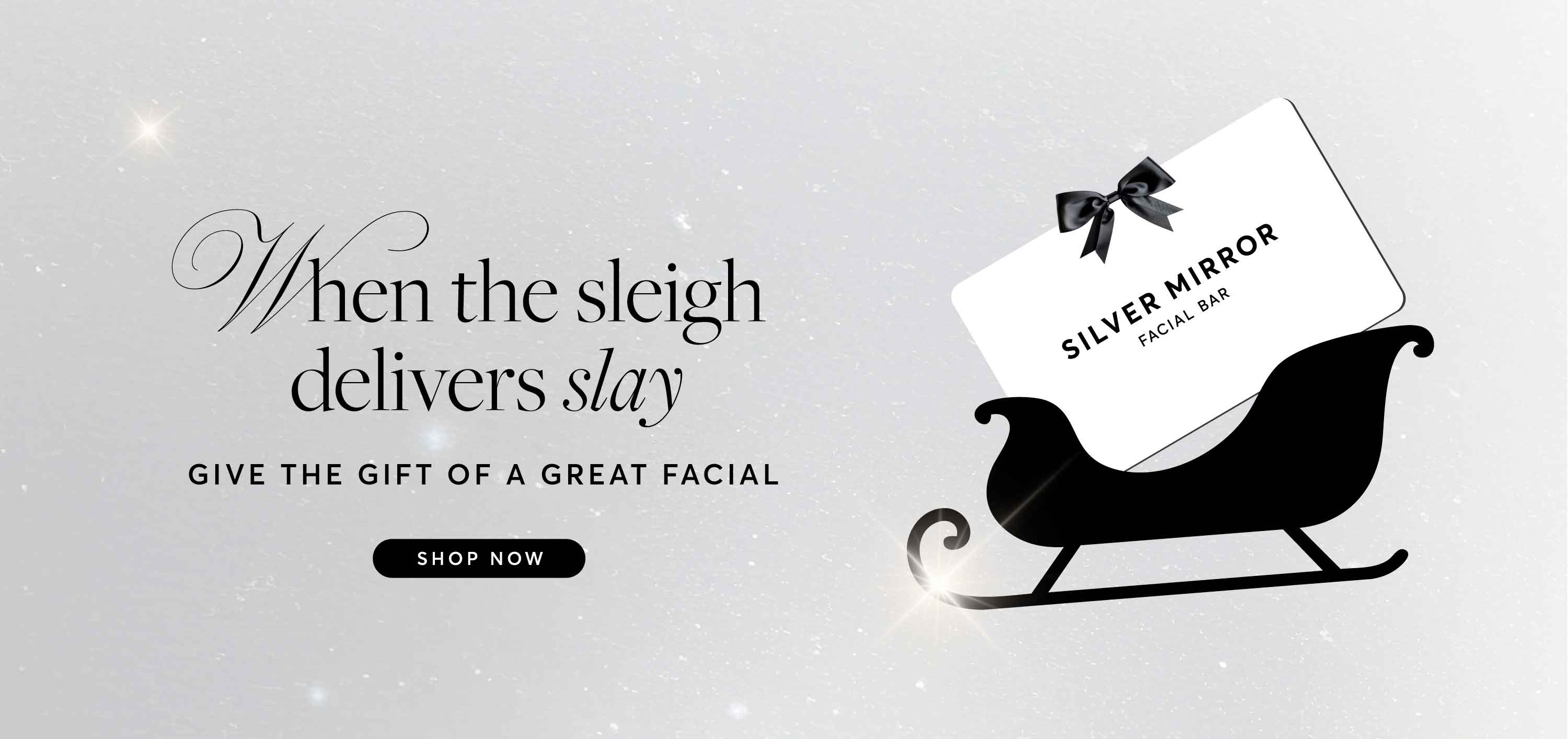 Silver Mirror Holiday 25