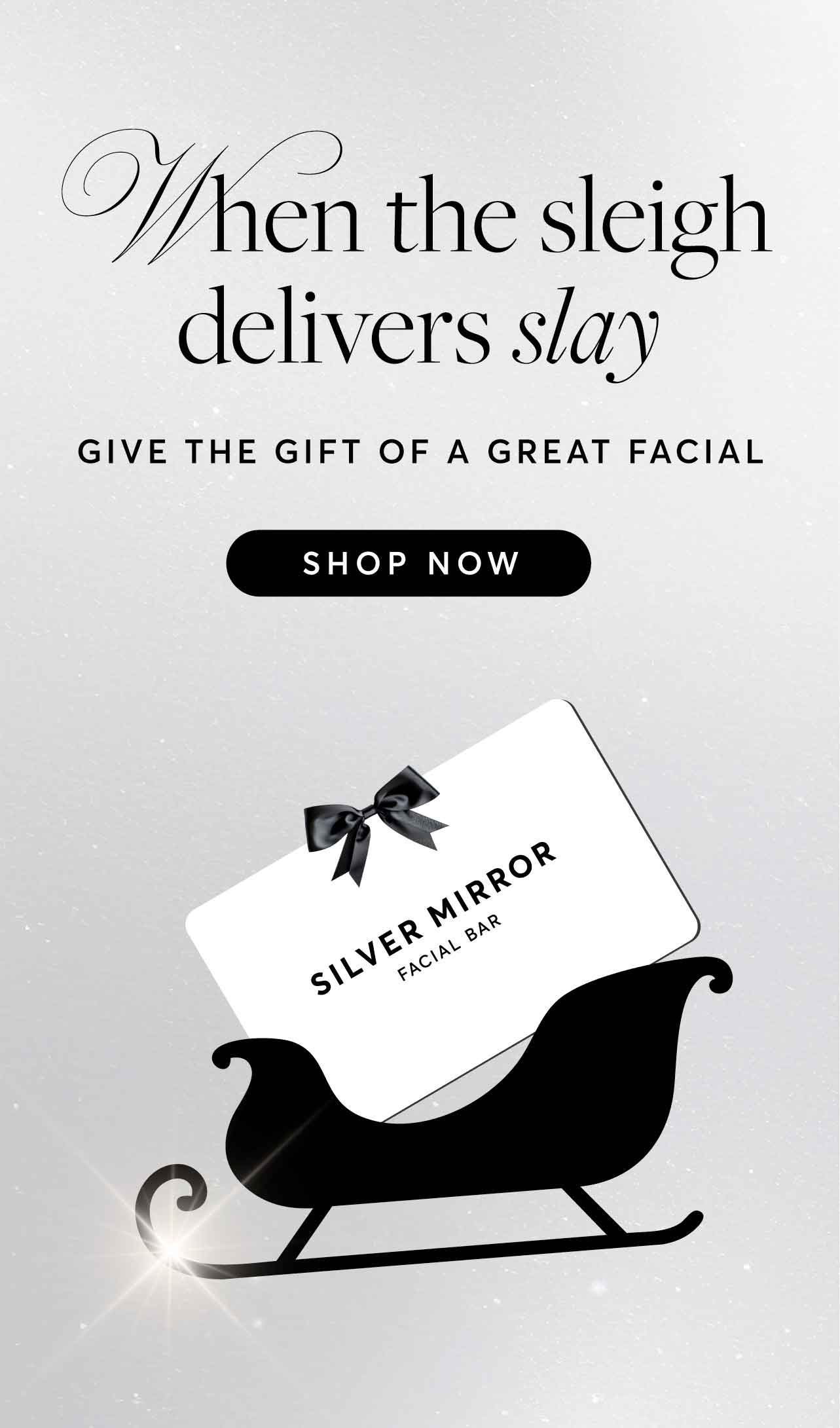 Silver Mirror Holiday 25